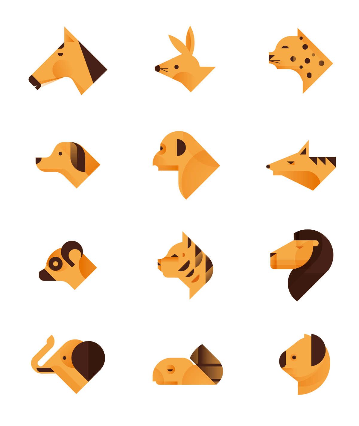 animals illustrations