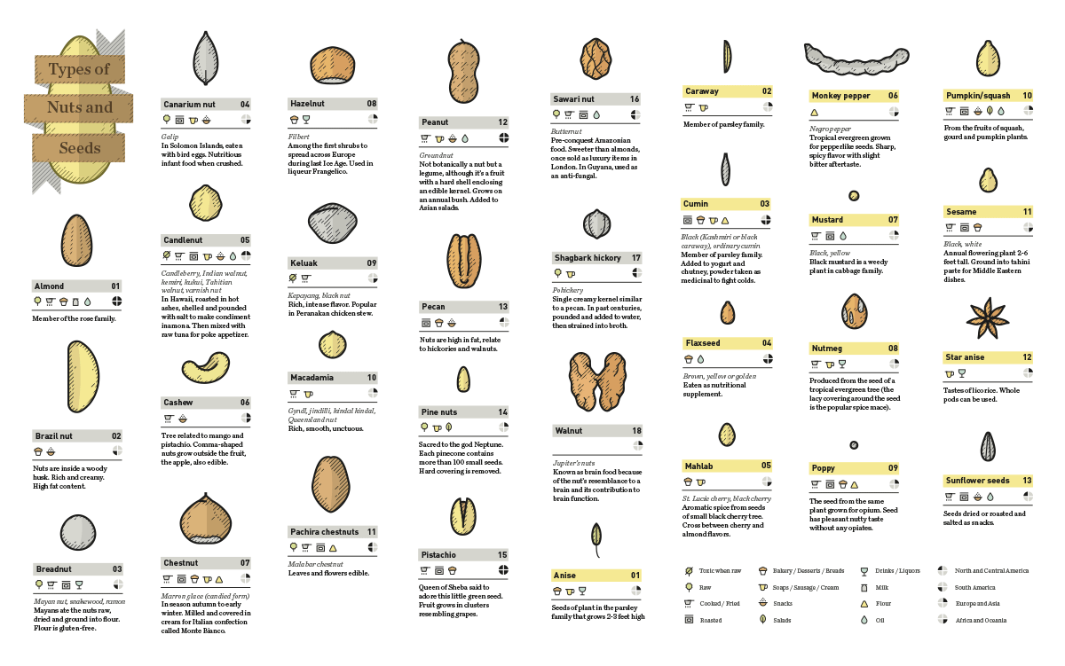 Seeds_infographic